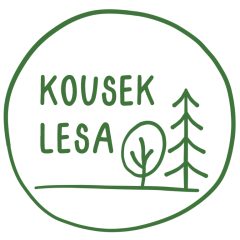 kousek lesa název a obrázek